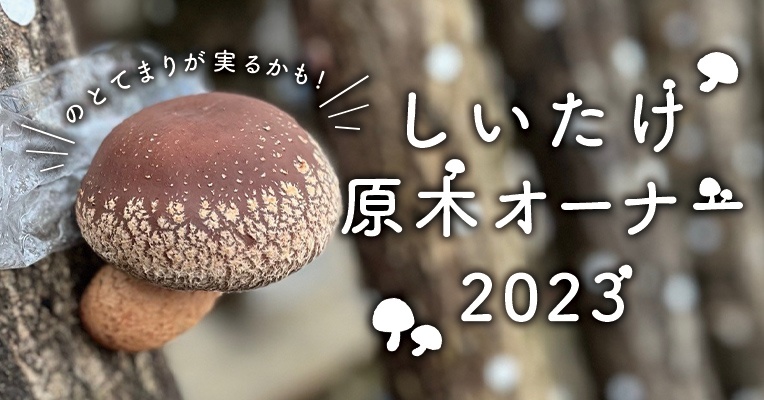 のとてまり」が実るかも!!しいたけ原木オーナー2023