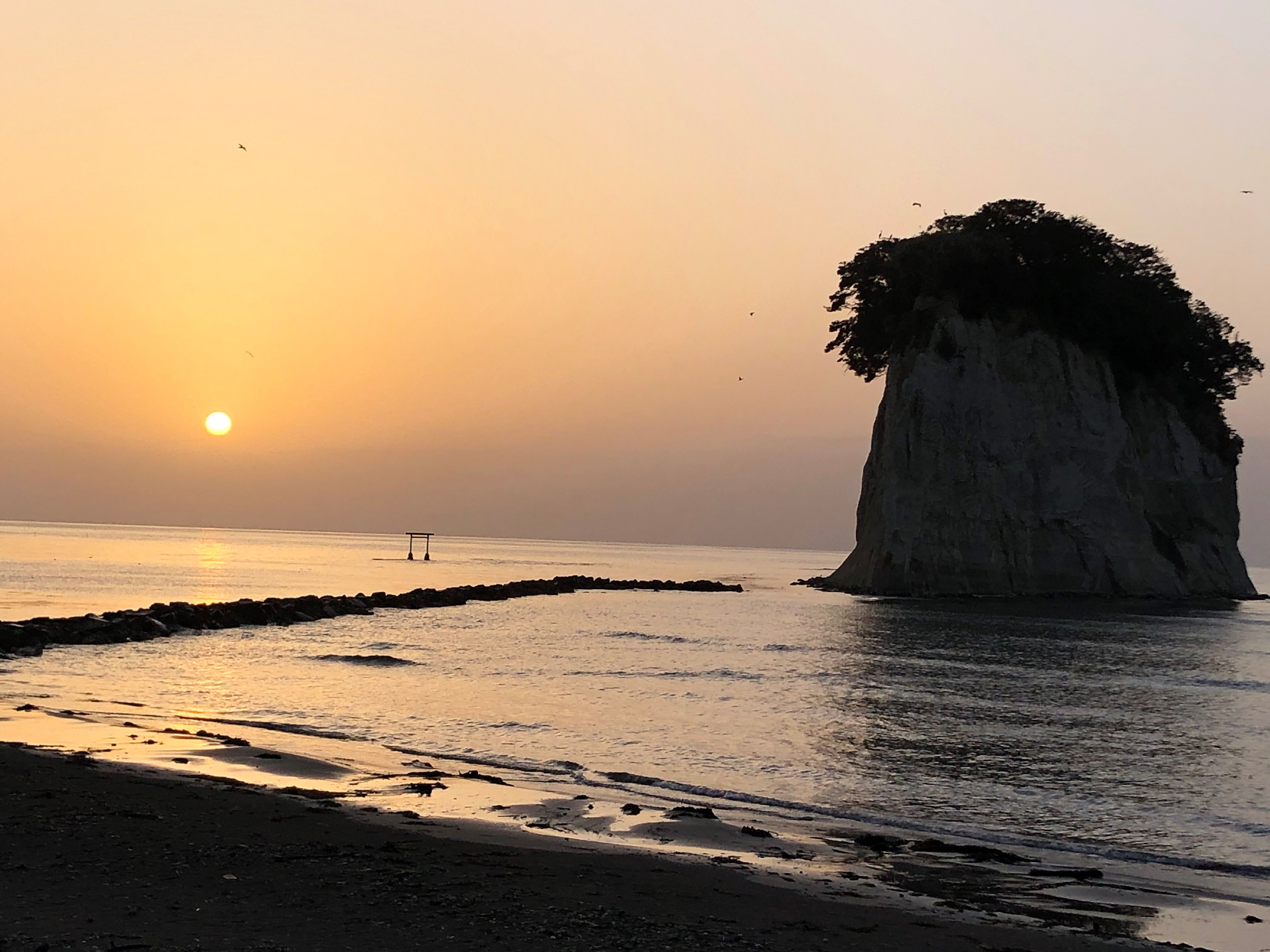 珠洲のシンボル 見附島 に臨む特等席 のとじ荘 珠洲のシンボル 見附島 に臨む特等席 のとじ荘