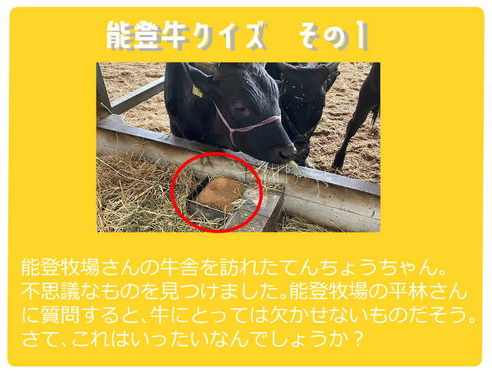 能登牛にエール