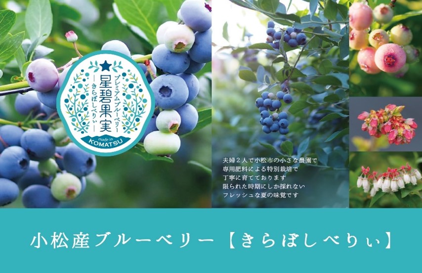 マーケティング キエリ舎 シロツメクサ ブルーベリー 家 azuraftu.mg